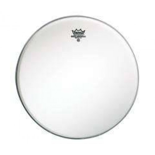 Remo Ambassador Coated 10" by Musical Instrument Shop Nottingham - Drum Heads, music equipment Nottingham.