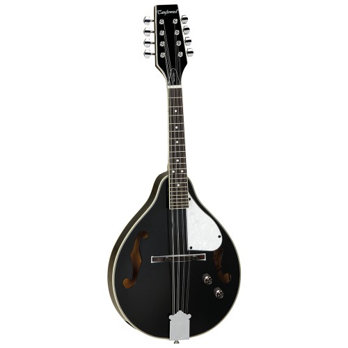 Tanglewood TWMTBKPE mandolin by 
